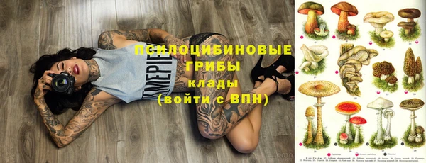 МДПВ Алексин